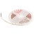 10363/12020 WW LED Светодиодная лента LOFT IT Strip 5m, 9,6W/m, 24V, 3000K, IP20