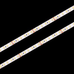 10363/12020 WW LED Светодиодная лента LOFT IT Strip 5m, 9,6W/m, 24V, 3000K, IP20