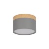 10162 Grey Накладной светильник LOFT IT Grape