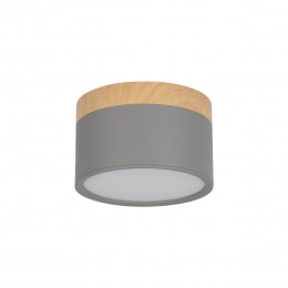 10162 Grey Накладной светильник LOFT IT Grape