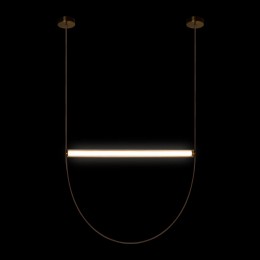 10221/1250 Подвесной светильник LOFT IT Liana