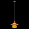 10113 Orange Подвесной светильник LOFT IT Floret