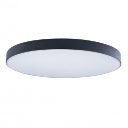 10002/48 Black Потолочный светильник LOFT IT Axel
