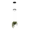 10121/B Подвесной светильник LOFT IT Jardin