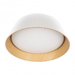 10224 White Потолочный светильник LOFT IT Evans