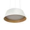10224P White Подвесной светильник LOFT IT Evans