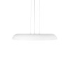 10371P White Подвесной светильник LOFT IT Dime