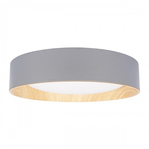 10202 Grey Потолочный светильник LOFT IT Coin