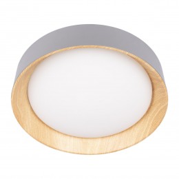 10202 Grey Потолочный светильник LOFT IT Coin