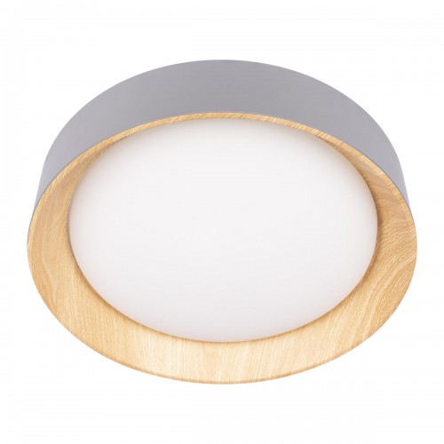 10202 Grey Потолочный светильник LOFT IT Coin