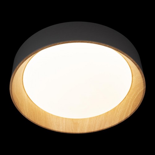 10202 Grey Потолочный светильник LOFT IT Coin