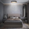 10202 Grey Потолочный светильник LOFT IT Coin