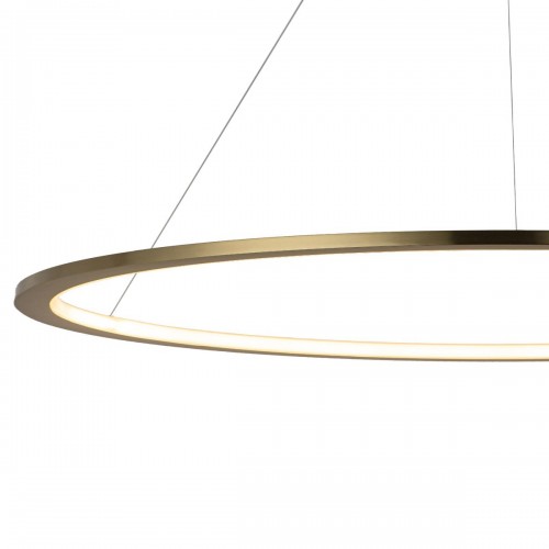 10014XXL Подвесной светильник LOFT IT Ring