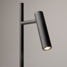 Напольный светильник (торшер) Maytoni Estudo Z010FL-L8B3K