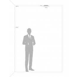 Настенный светильник (бра) Freya FR10019WL-L23W