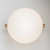 Настенный светильник (бра) Freya FR5259WL-01BS