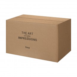 Настенный светильник (бра) Freya FR5339WL-01N