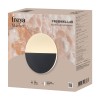 Настенный светильник (бра) Freya FR6199WL-L4B