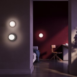 Настенный светильник (бра) Maytoni Careless MOD403WL-01GR