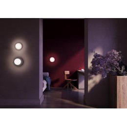 Настенный светильник (бра) Maytoni Careless MOD403WL-01GR