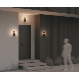Настенный светильник (бра)  Maytoni Outdoor Candle O449WL-01GF