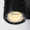 Настенный светильник (бра)  Maytoni Outdoor Rando O419WL-02B