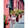 Настенный светильник (бра)  Maytoni Outdoor Salamanca O031WL-01BR