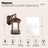 Настенный светильник (бра)  Maytoni Outdoor Salamanca O031WL-01BR