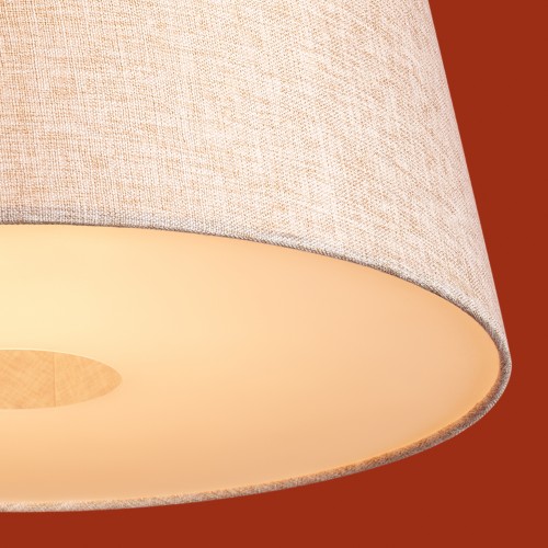 Подвесной светильник Freya FR2057PL-01BG