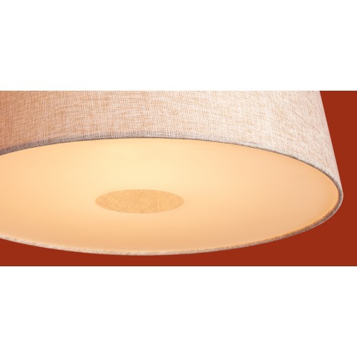 Подвесной светильник Freya FR2057PL-01BG