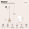 Подвесной светильник Maytoni Broni T434-PL-01-GR
