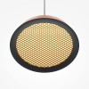 Подвесной светильник Maytoni El MOD041PL-L15TR3K