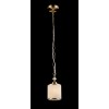 Подвесной светильник Maytoni Sherborn RC016-PL-01-G