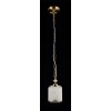 Подвесной светильник Maytoni Sherborn RC016-PL-01-G