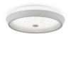 Потолочный светильник Freya FR10012CL-L24W