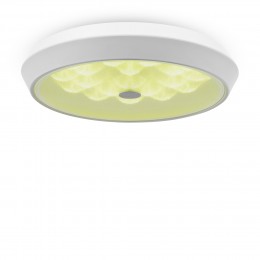 Потолочный светильник Freya FR10012CL-L24W