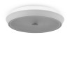 Потолочный светильник Freya FR10012CL-L24W