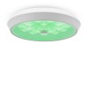 Потолочный светильник Freya FR10012CL-L24W