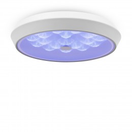 Потолочный светильник Freya FR10012CL-L24W