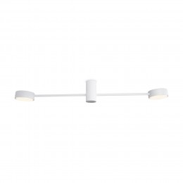 Потолочный светильник Freya FR5363CL-02W1