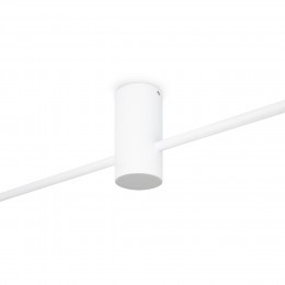 Потолочный светильник Freya FR5363CL-02W1