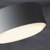 Потолочный светильник Freya FR5363CL-02W1