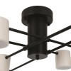 Потолочный светильник Freya FR6048CL-L8B