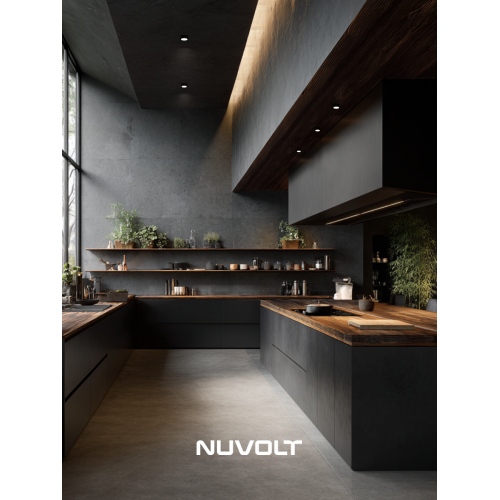 Потолочный светильник NUVOLT LDL-008BW