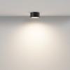 Потолочный светильник Technical C032CL-12W3K-RD-B