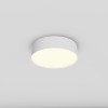 Потолочный светильник Technical C032CL-24W3K-RD-W