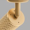 Потолочный светильник Technical C034CL-01G