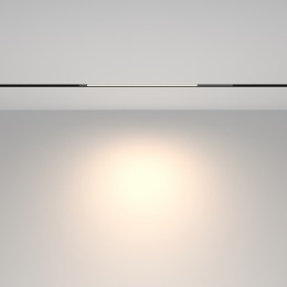 Трековый светильник Technical TR231-2-10W4K-B