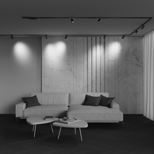 Трековый светильник Technical TR244-4-12WTW-DD2-B