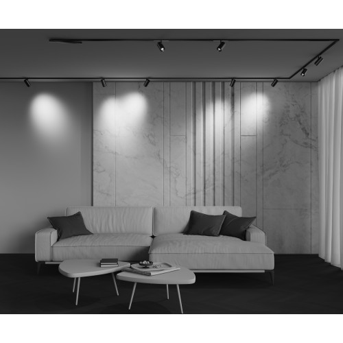 Трековый светильник Technical TR244-4-12WTW-DD2-B